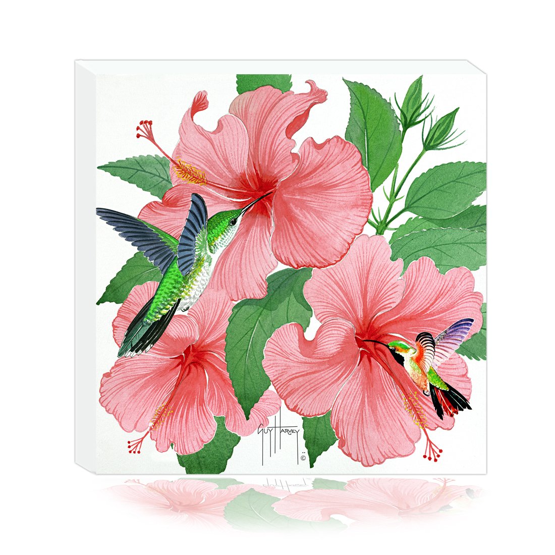 PINK HIBISCUS SMALL CANVAS ART
