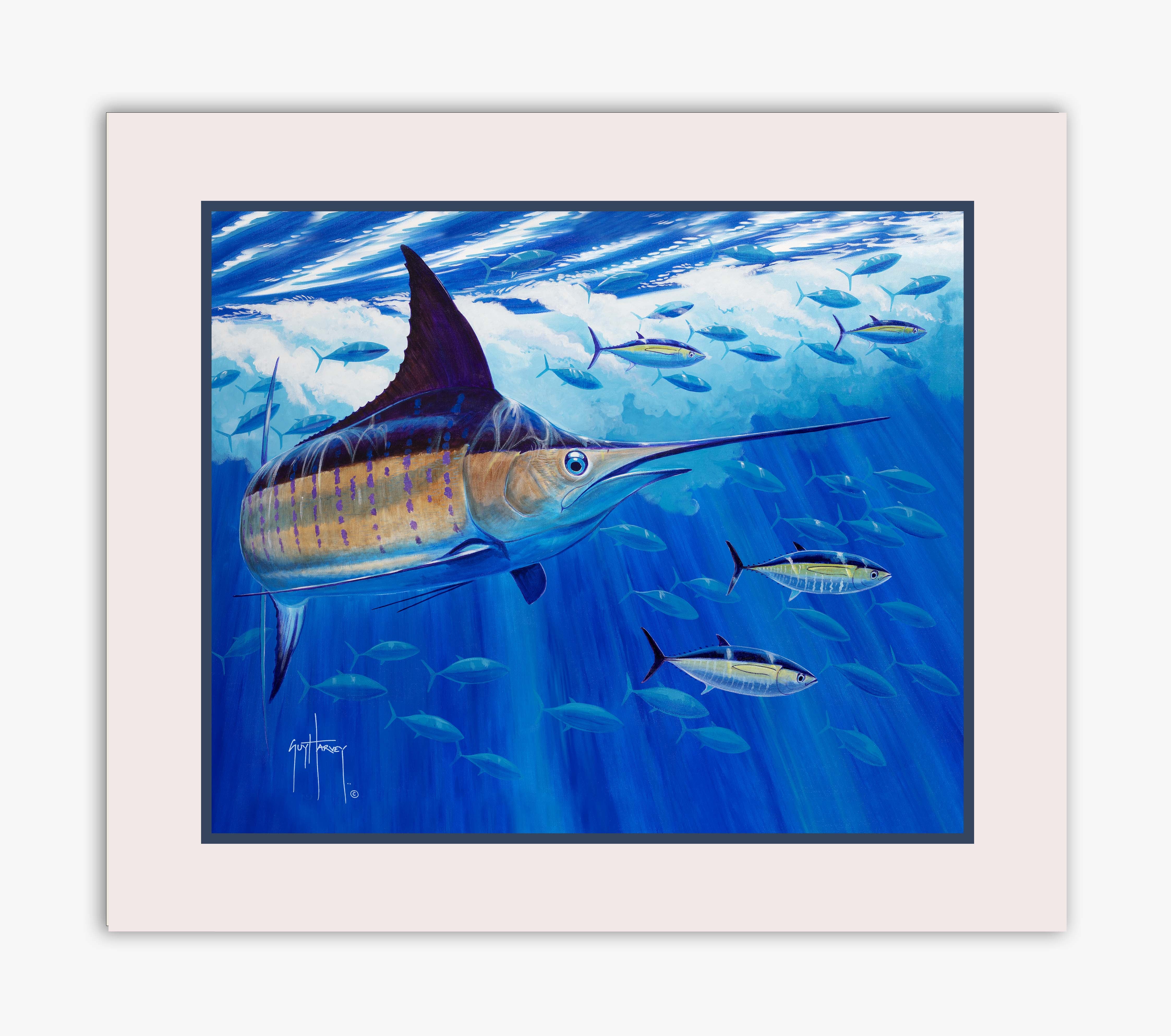 Guy Harvey's Underwater World Bundle View 2