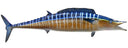 63 INCH WAHOO View 1