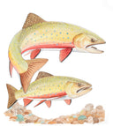 Two Brook Trout II View 1