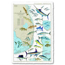FLORIDA CHART View 1