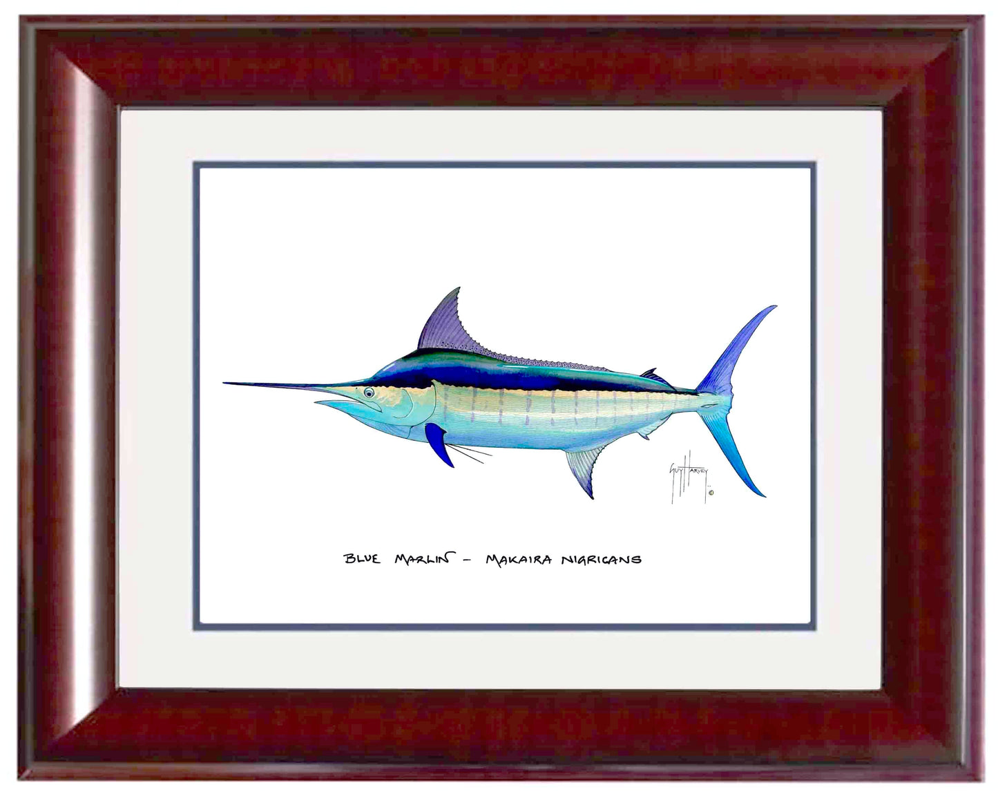 Blue Marlin Mini Print