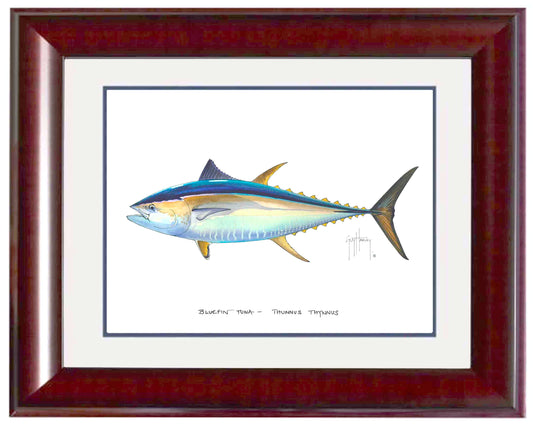 Bluefin Tuna Mini Print