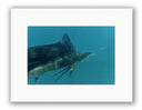 CLOSE UP PHOTO ART UNFRAMED View 1