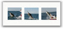 UP CLOSE & PERSONAL TRIPTYCH PHOTO ART UNFRAMED View 1