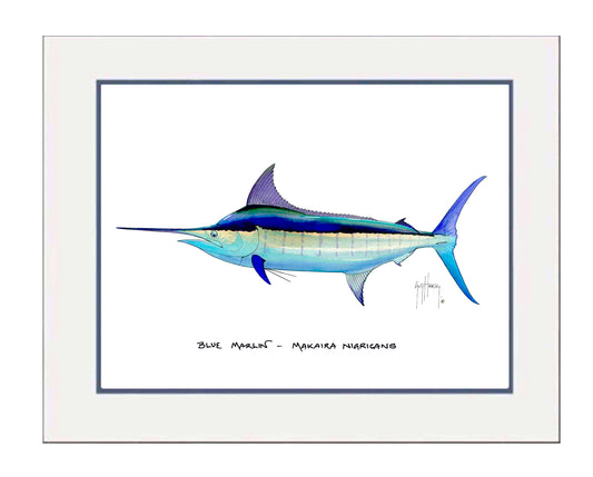 Blue Marlin Mini Print View 1