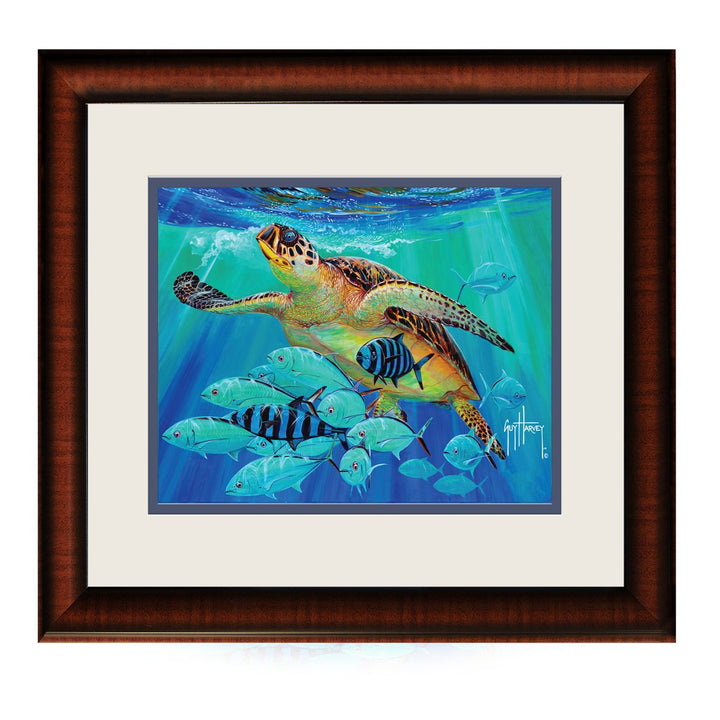 Guy Harvey Artwork