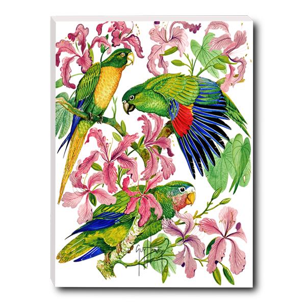 PARROTS IN BLOOM SMALL CANVAS ART