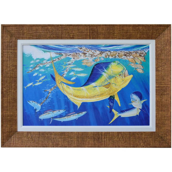 Dolphin Oasis – Guy Harvey